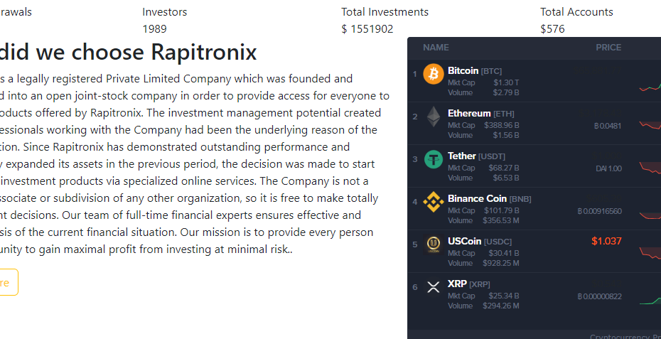 Rapitronix.Com review